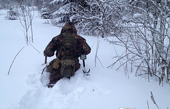 SuchMuch_winter_dig.jpg