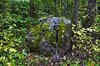 _DSC2548_1.jpg