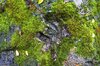 _DSC2549_1.jpg
