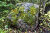 _DSC2550_1.jpg