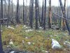 SDC10157.JPG