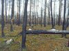 SDC10158.JPG