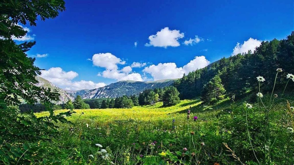 Краснодарский край